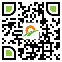 中正導熱油鍋爐微信